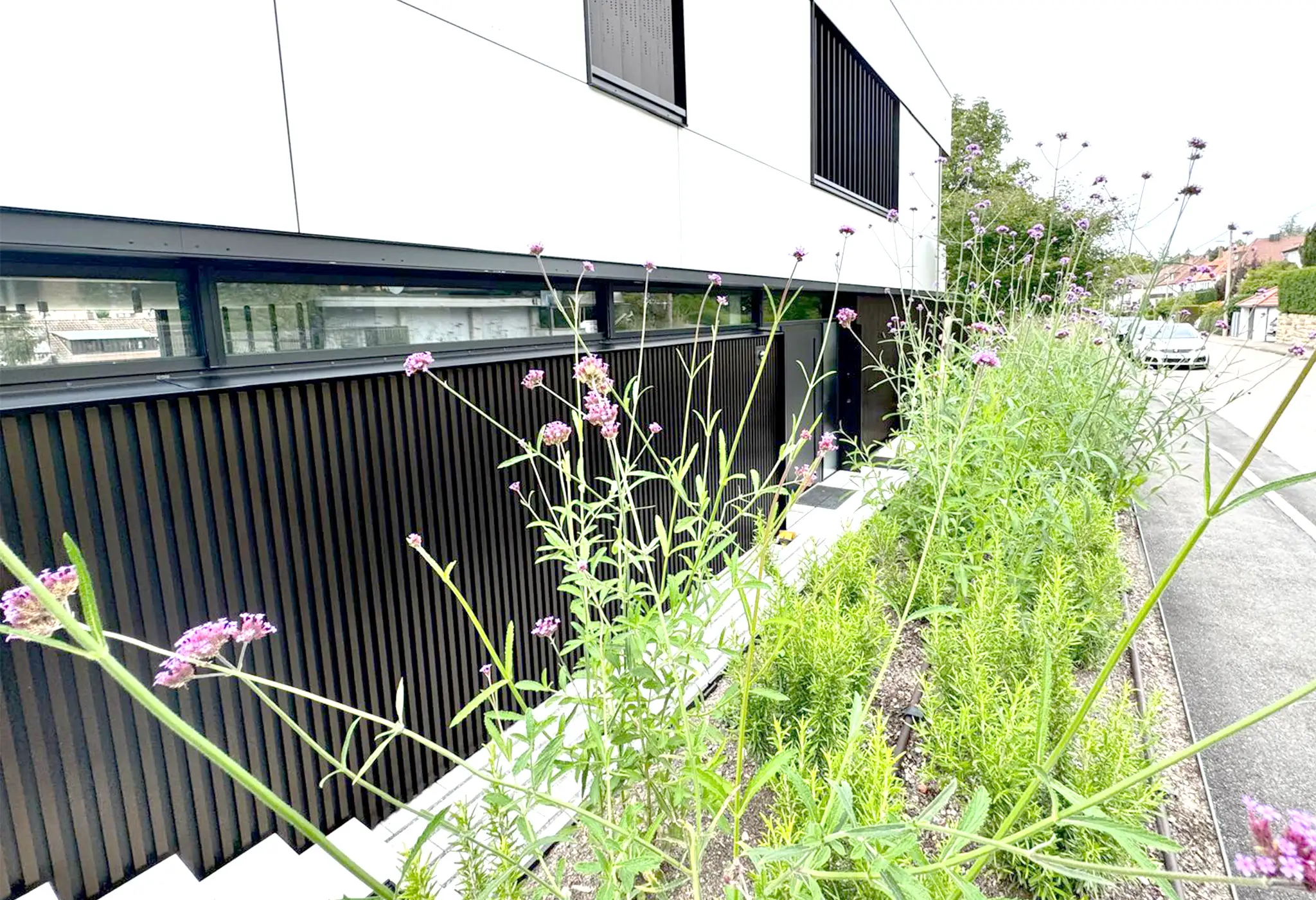 Lamellenfassade entlang der Straßenseite, Vorgarten mit Wildstauden im Vordergrund